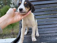 2,5 месяца мальчик и девочка 