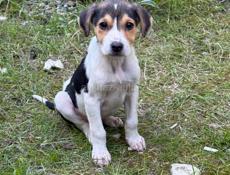 2,5 месяца мальчик и девочка 