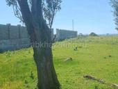 Алахадзы 12 соток земли 