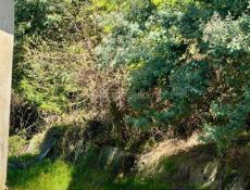 УЧАСТОК 4 СОТКИ С ФУНДАМЕНТОМ В СУХУМЕ УЛ. ТРАПШ