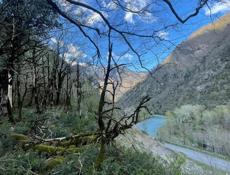 Маршрутный рейс, Псоу-Пицунда + Volkswagen Crafter