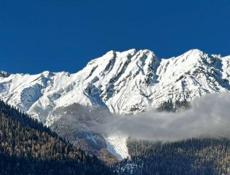 Сниму КВАРТИРУ (НЕ комнату в гостевом доме) или частный дом 