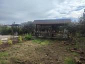 Цена до понедельника 