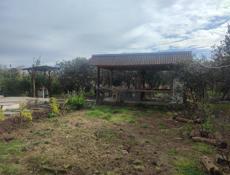 Цена до понедельника 