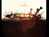 Ищу работу срочно 