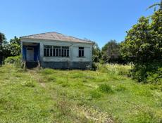 Продам дом и участок в с. Бабушера