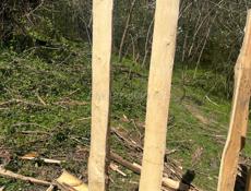 Колышки хорошего размера и качества 