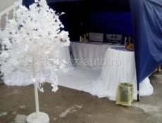 Кофе на Песке, Кофе на Любые мероприятия