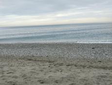 Белая речка 20соток до моря 200м речка 300м 