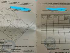 12 сот в Колхиде ,Гагрский район 