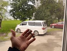 Нижняя Эшера Молзавод 