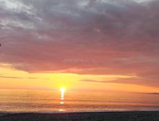 Семья снимит дом