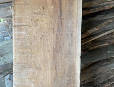 Продам каштан