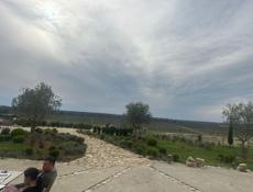 Продам асыдзбал