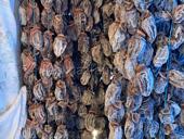 Бичок сушка