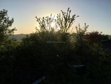 Продаётся Земельный участок 0.25 га. с. Мерхяул