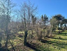 Продаётся Земельный участок 0.25 га. с. Мерхяул