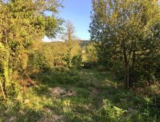 Продаётся Земельный участок 0.25 га. с. Мерхяул