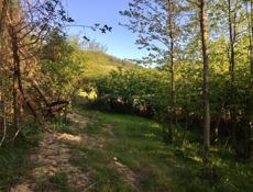 Продаётся Земельный участок 0.25 га. с. Мерхяул