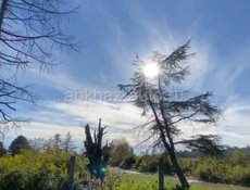 Продается участок на Гумисте 12 сот 