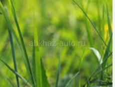 Покос травы, расчистка территории