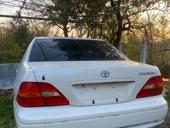 Цельсиор на разбор 