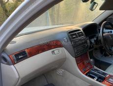 Цельсиор на разбор 