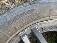 Цельсиор на разбор 