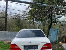 Цельсиор на разбор 