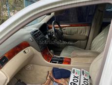 Цельсиор на разбор 