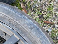 Цельсиор на разбор 