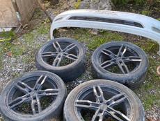 Цельсиор на разбор 