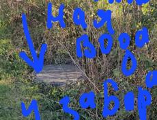 В конце каштака, 500 м море.