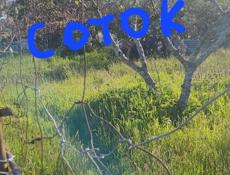 В конце каштака, 500 м море.