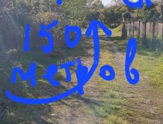 В конце каштака, 500 м море.