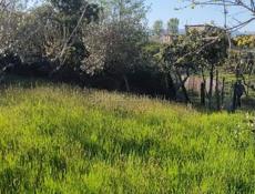 В конце каштака, 500 м море.