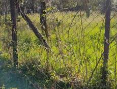 В конце каштака, 500 м море.