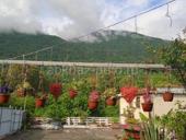 Сдаются комнаты 