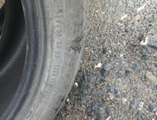 Шины  4 за 2
