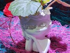 Гипсовые работы