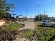 Цандрипш 10 соток 