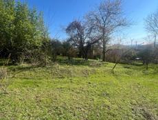 Цандрипш 10 соток 