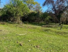 Цандрипш 10 соток 