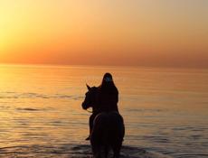 Участок с ветхим строением 