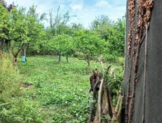 Участок 15соток с ветхими строениями