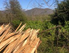 Колышки хорошего размера и качества 