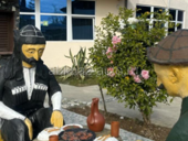 В Апацху Звандрипш требуется Официант