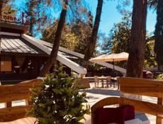 Требуются официанты (девушки). 