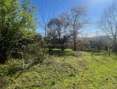 Цандрипш 10 соток. 