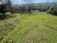 Цандрипш 10 соток. 